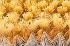 江西省吉安市泰和县上圯乡毛竹加工厂员工正在晾晒竹制品邓和平摄中经视...