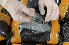近日厦门机场海关在执行入境航班监管任务时发现一名选择绿色通道通关的...