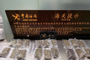 3月9日昆明长水机场海关在进境旅检渠道查获毒品大麻9074克昆明长...