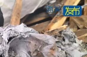 9月17日东渡海关关员对一批申报为蓝湿牛皮的进口货物实施查验时发现...