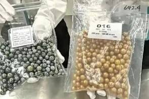 近日海口海关所属海口美兰机场海关在监管进境航班时发现一名选择绿色通...