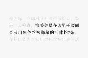 微信派字20261号关于一个公众号核查情况的通报近日我们发现一公众...