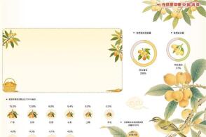 数据来源京东消费及产业发展研究院五月江南碧苍苍蚕老枇杷黄枇杷这枚古...