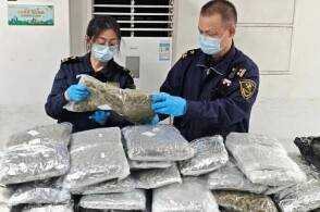 近日广州海关在广州白云机场口岸查获毒品大麻一批净重4752264千...