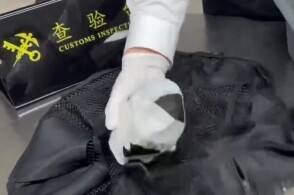 近日罗湖海关在旅检进境渠道查获濒危活体箱龟2只海关关员在对进境旅客...