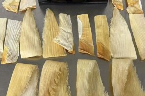 近日罗湖海关查获一名进境旅客携带濒危大青鲨鱼翅23块净重04千克罗...