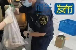 近日深圳湾海关在客运进境渠道查获119只外来物种黄腹侧颈龟当日一辆...