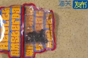 近日深圳邮局海关查获致幻蘑菇48克海关关员在对转运货物开展监管时发...