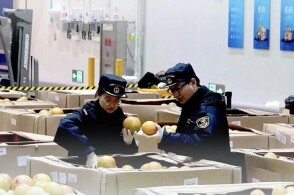 2021年2月9日习近平主席在中国中东欧国家领导人峰会上的主旨讲话...