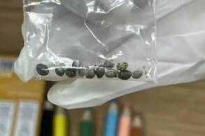 近日杭州海关所属温州海关在对进境邮件进行监管时发现一件邮件机检图像...