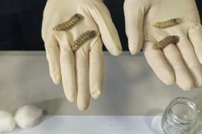 近日青岛大港海关关员发现一票进境快件机检图像异常经开箱查验发现其中...