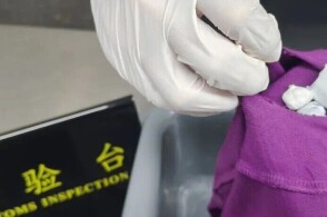 近日罗湖海关在进境旅客身着的内裤中查获海洛因131克咪达唑仑063...