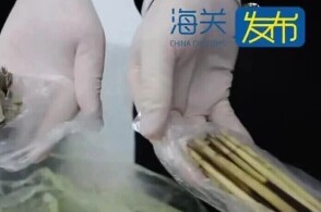 近日南宁海关所属峒中海关关员在峒中口岸旅检入境通道进行监管时发现一...