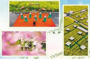 3月7日演员在重庆市黔江区太极镇李子村金鸡坝油菜花田进行歌舞表演春...