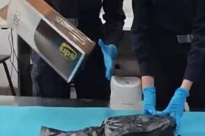 近日广州海关在广州白云机场口岸查获毒品大麻重8953克广州海关所属...